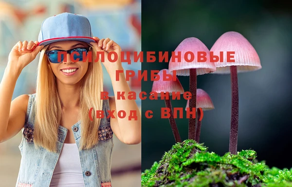 a pvp Новодвинск