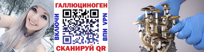 гидра зеркало  закладка  Красноярск  Галлюциногенные грибы ЛСД 